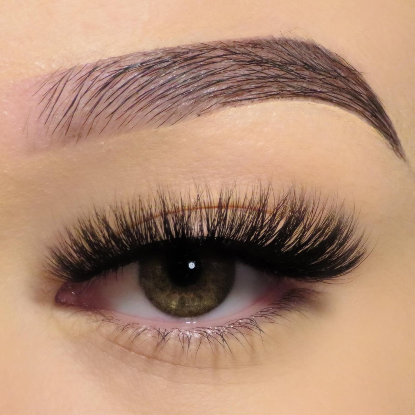 3D Faux Mink Lashes (Premium & Cruelty Free) - V5